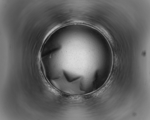 X0000100931198200807011214