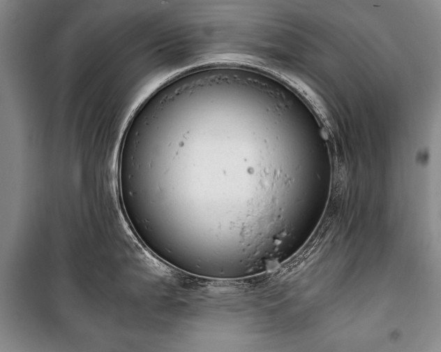 X0000100931199200807011214