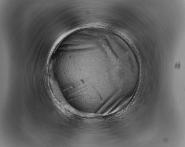 X0000100931200200807011214