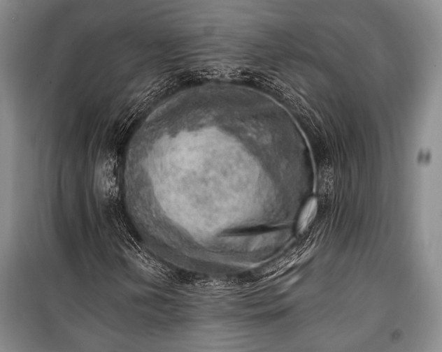 X0000100931202200807011213