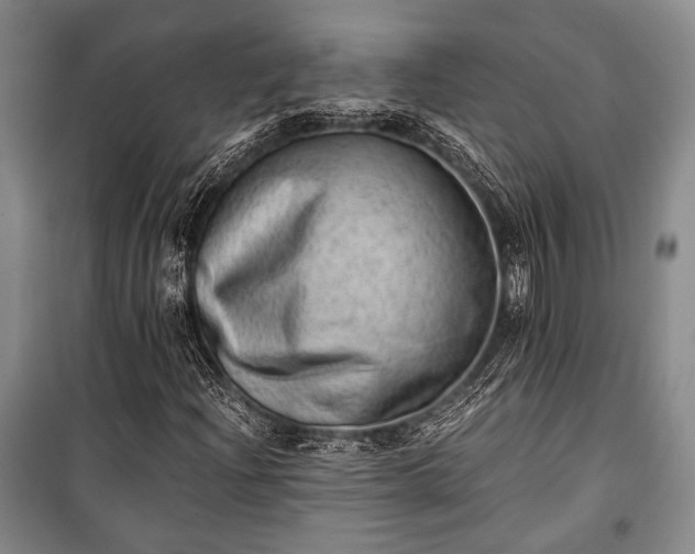 X0000100931204200807011213