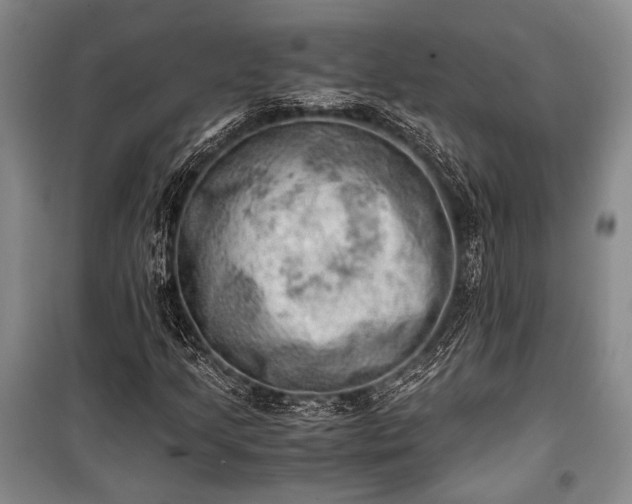 X0000100931205200807011213