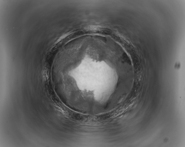 X0000100931206200807011213