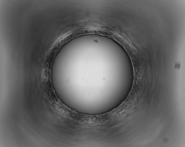 X0000100931207200807011213