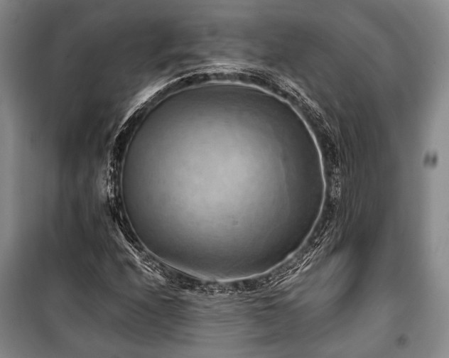 X0000100931208200807011213