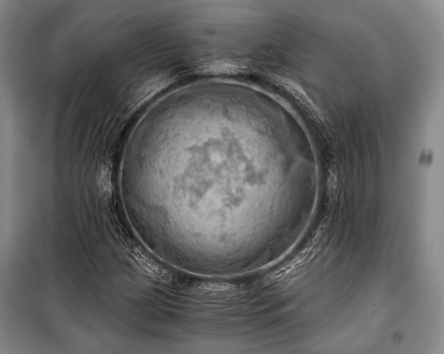 X0000100931209200807011213