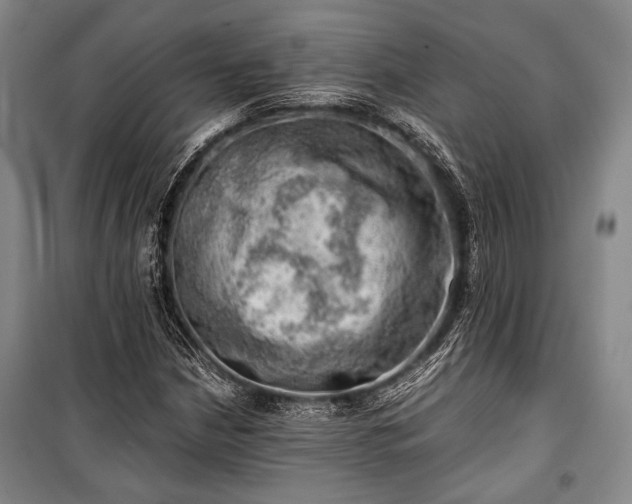 X0000100931210200807011213