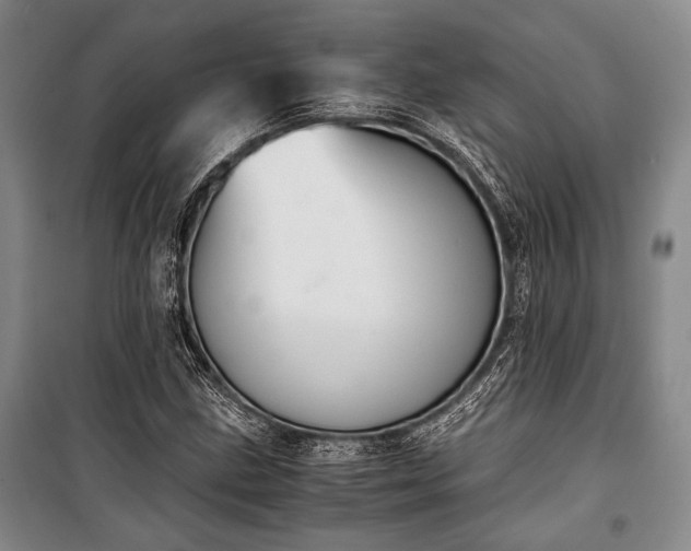 X0000100931211200807011213