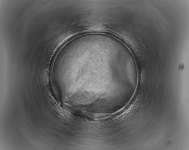 X0000100931212200807011213