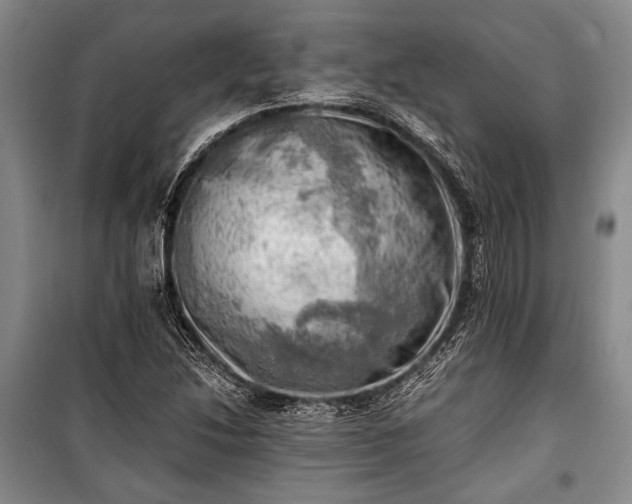 X0000100931214200807011213