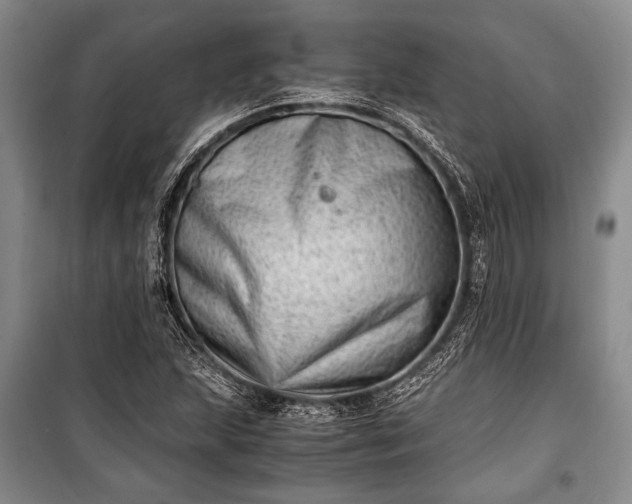 X0000100931215200807011213