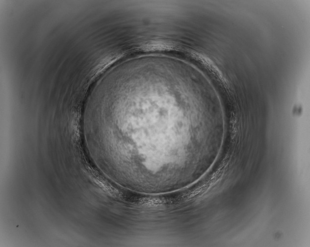 X0000100931217200807011213