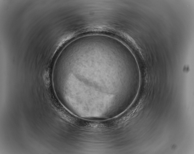 X0000100931218200807011213