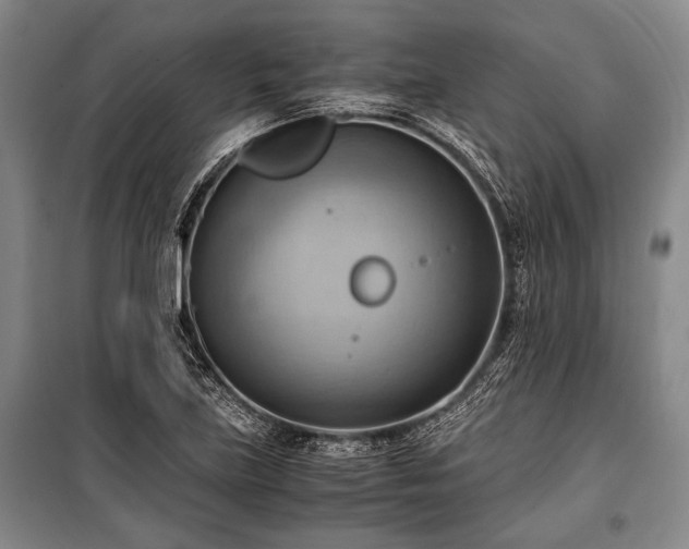 X0000100931219200807011213