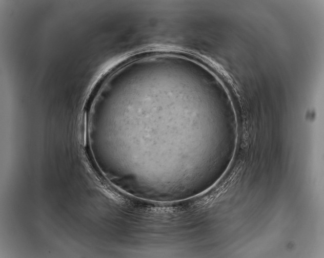 X0000100931223200807011213