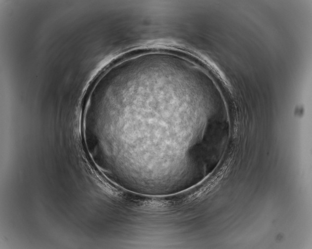 X0000100931224200807011214