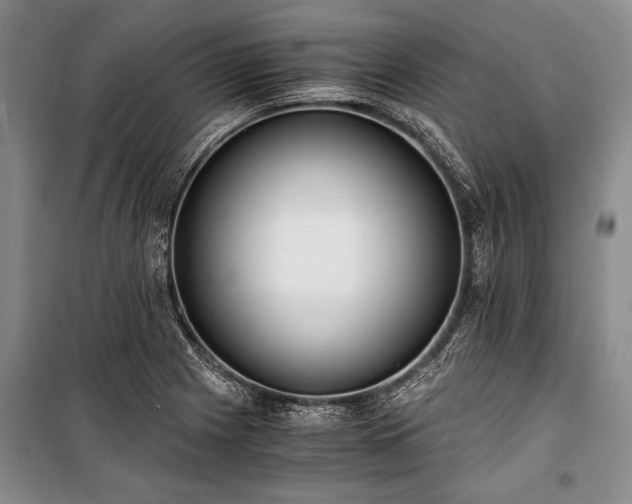 X0000100931225200807011214