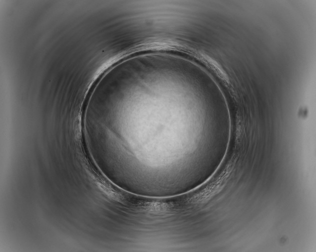 X0000100931226200807011214