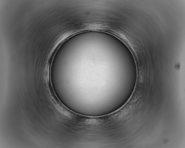 X0000100931227200807011214