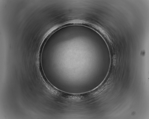 X0000100931229200807011214