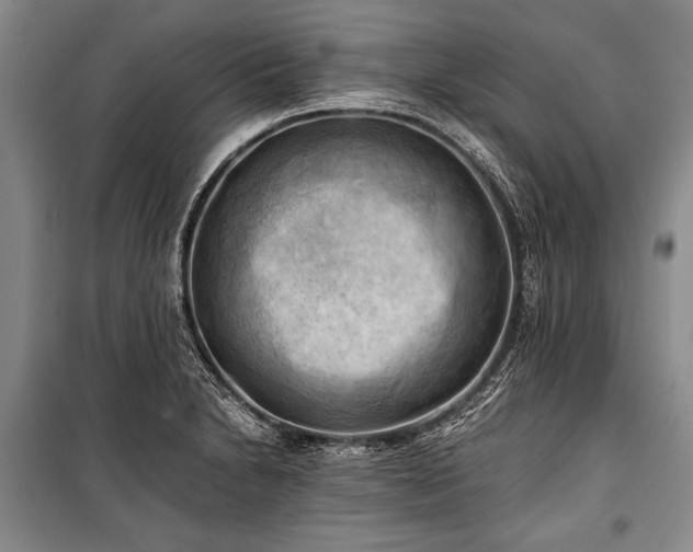 X0000100931230200807011214