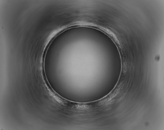 X0000100931231200807011214