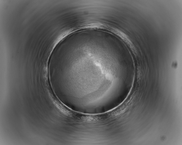 X0000100931234200807011214