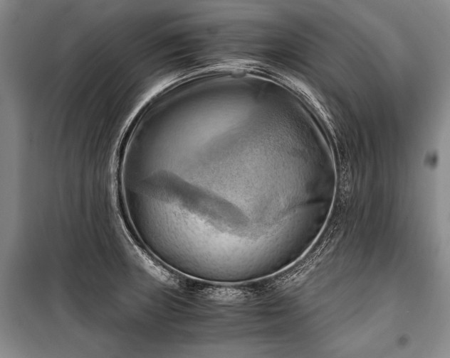 X0000100931235200807011214