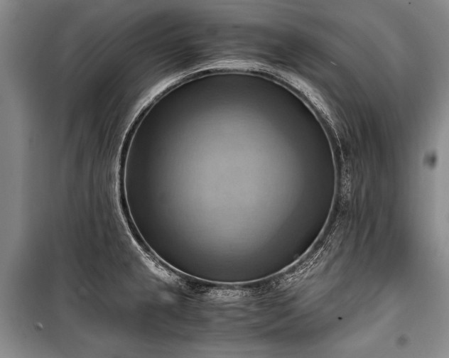 X0000100931237200807011214