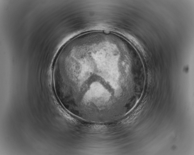 X0000100931238200807011214