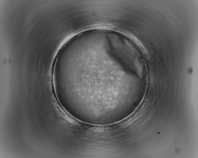 X0000100931240200807011214