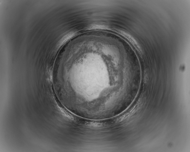 X0000100931241200807011214