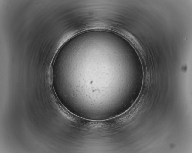 X0000100931242200807011214