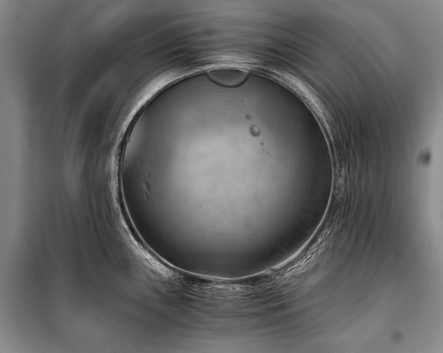 X0000100931243200807011214