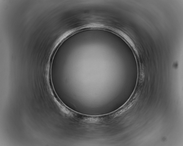 X0000100931245200807011214