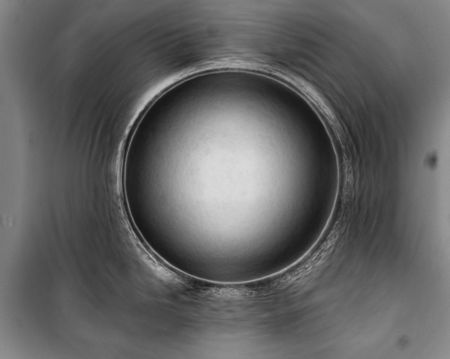 X0000100931246200807011214