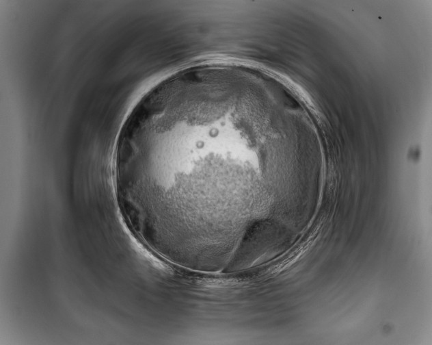 X0000100931247200807011214