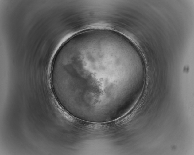 X0000100931248200807011214