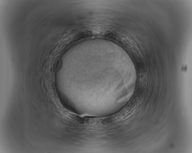 X0000100931249200807011213