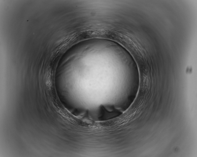 X0000100931250200807011213