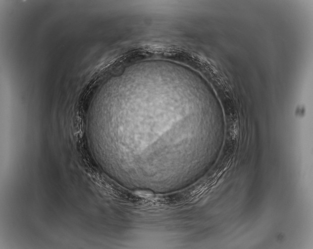 X0000100931253200807011213