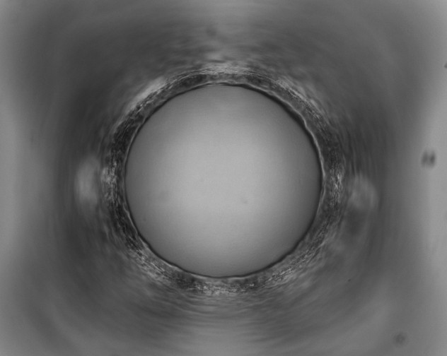 X0000100931254200807011213