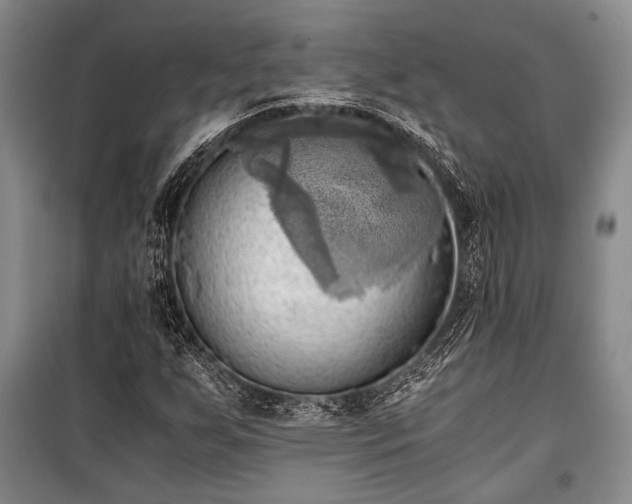 X0000100931255200807011213