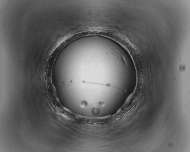 X0000100931256200807011213