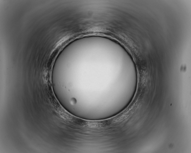 X0000100931258200807011213