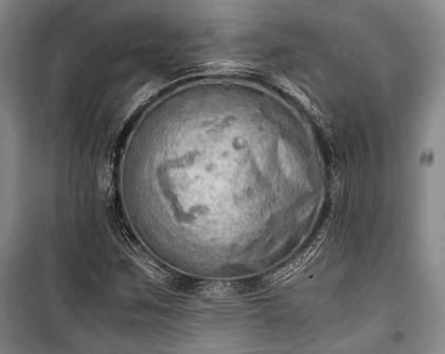 X0000100931259200807011213