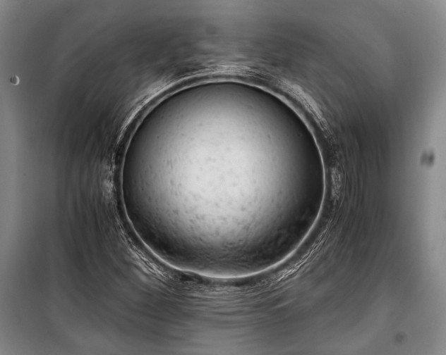 X0000100931260200807011213