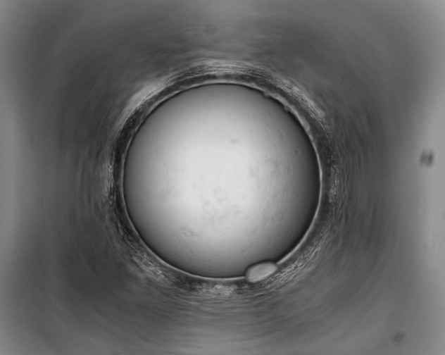 X0000100931261200807011213