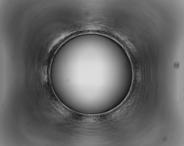 X0000100931262200807011213