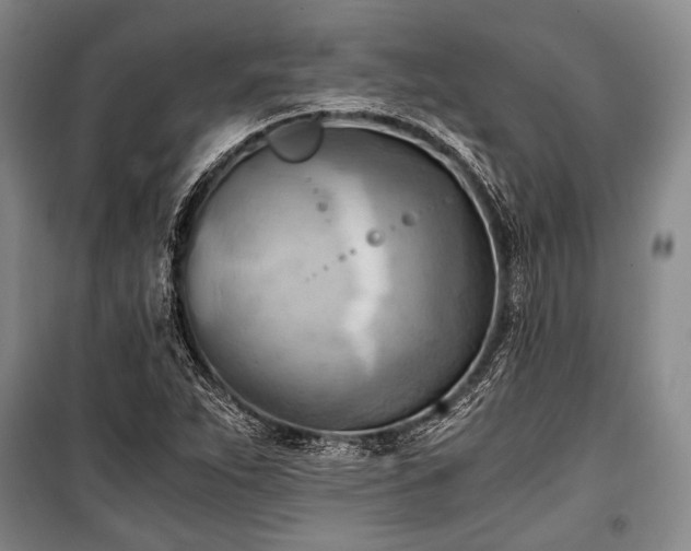 X0000100931263200807011213